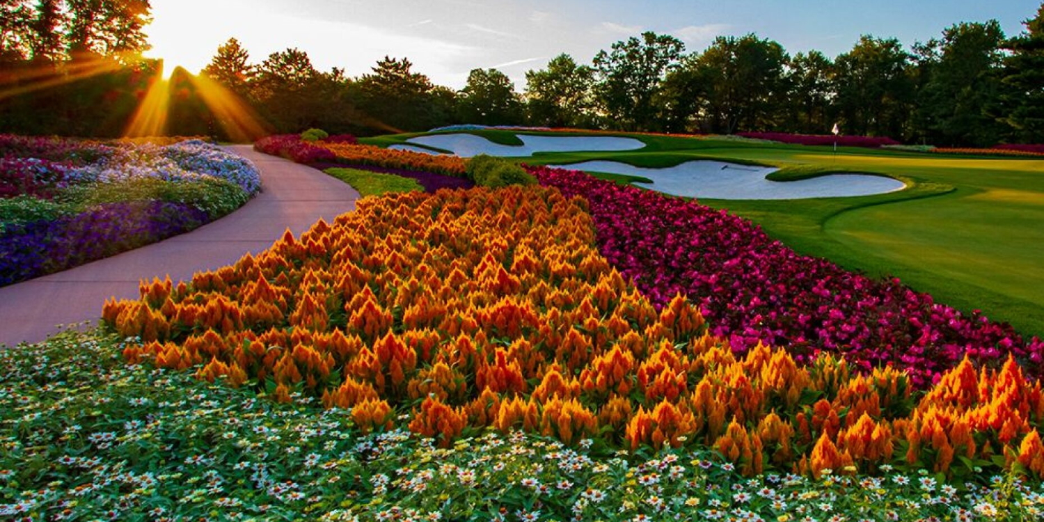 Golf Trail