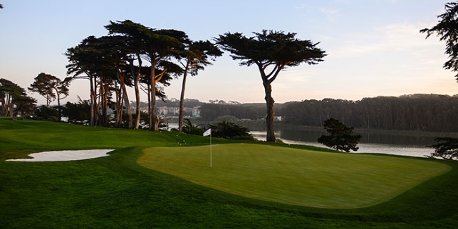 TPC Harding